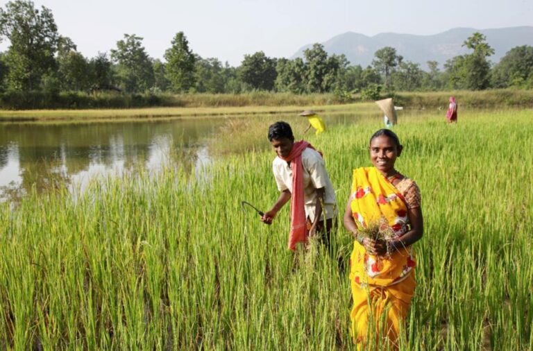 BALCO transforming the lives of farmers in the vicinity